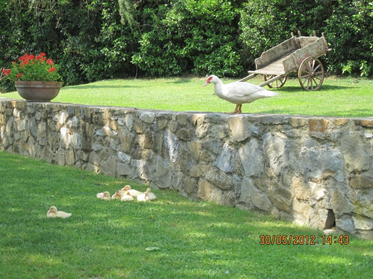 Vila Agriturismo Conca Verde Scandicci Exteriér fotografie