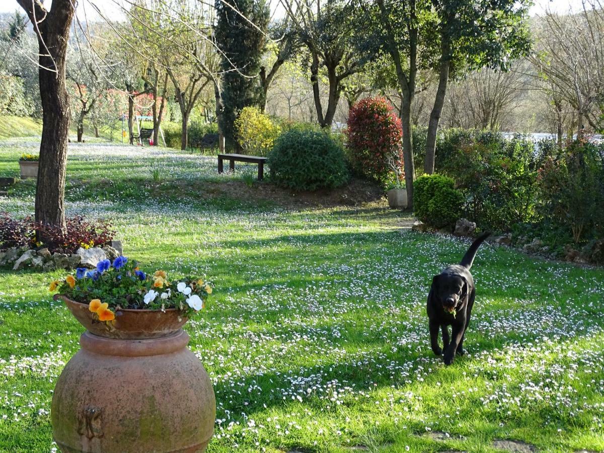 Agriturismo Conca Verde Scandicci Exteriér fotografie